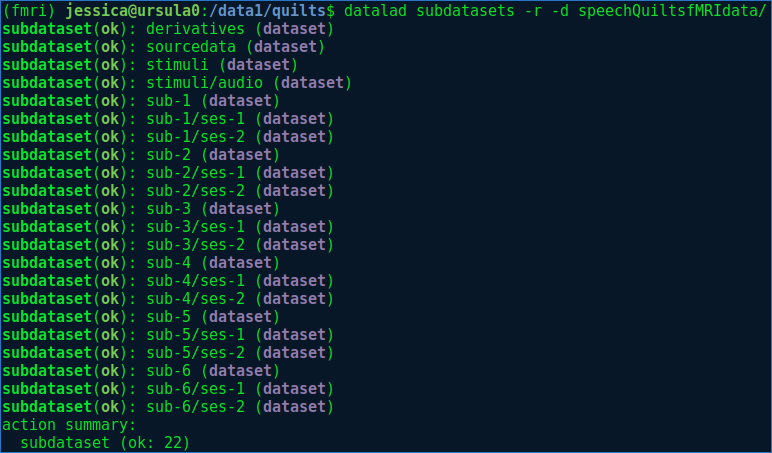 Datalad subdatasets