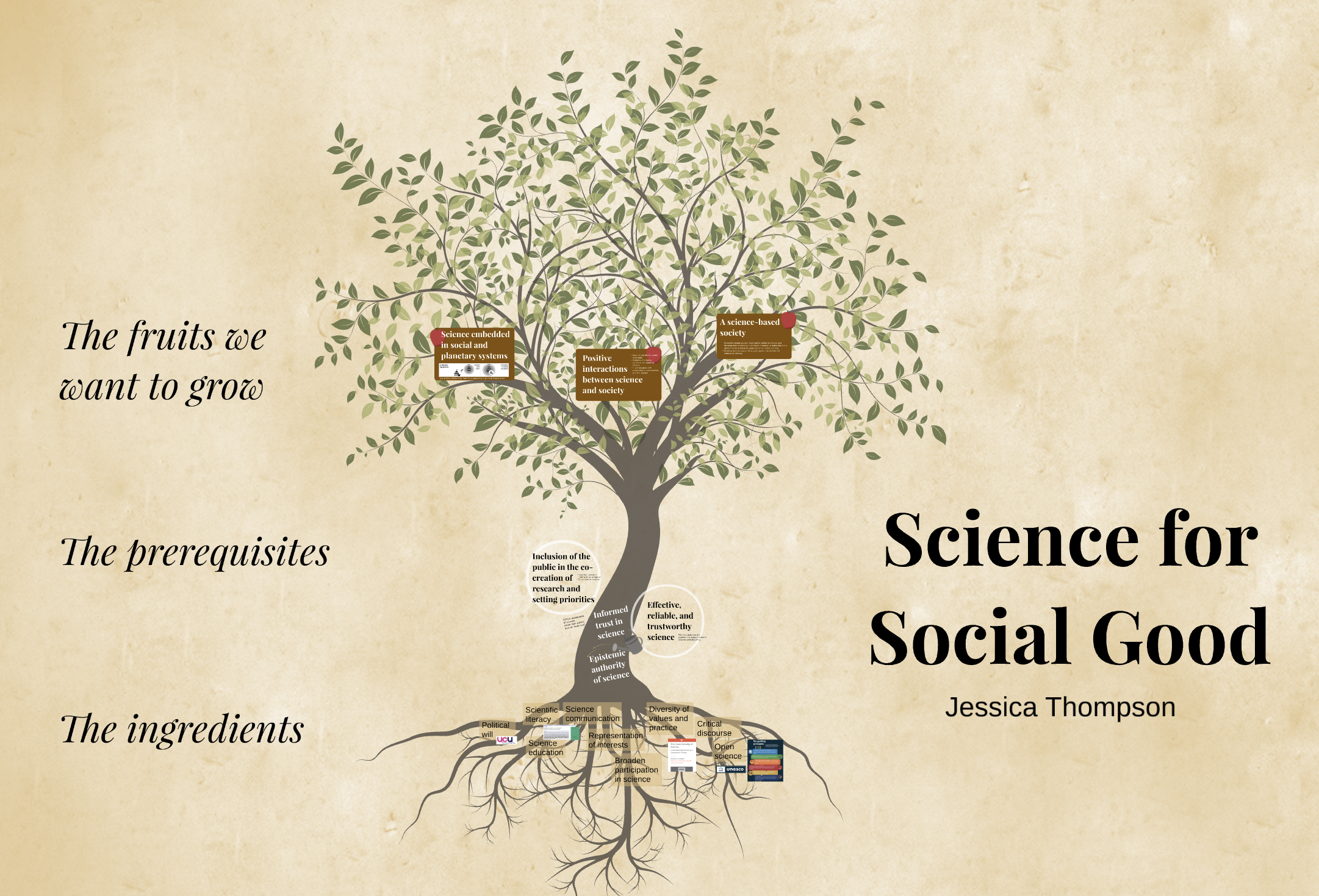 Science for social good tree